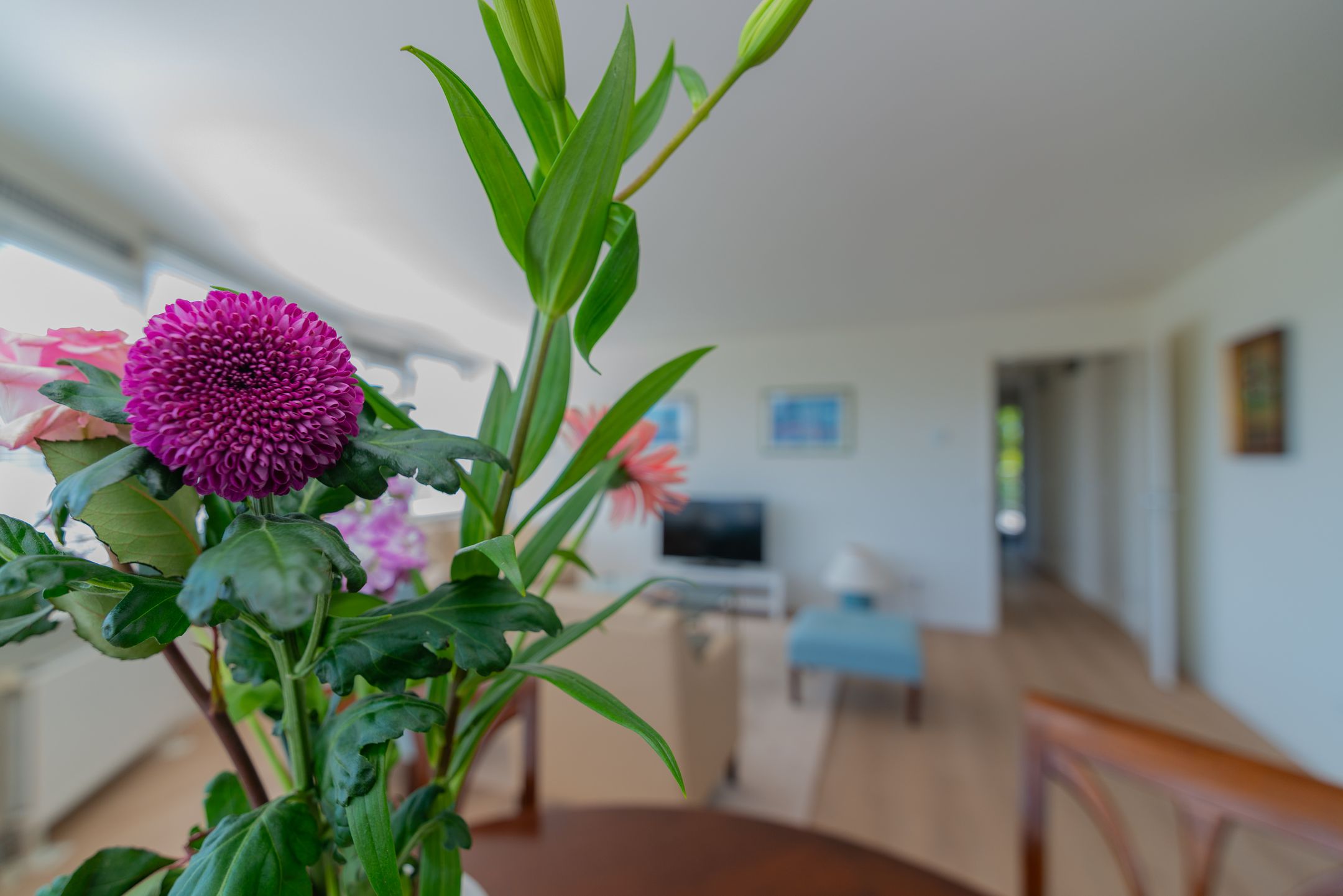 Foto 15 van Treslonglaan 98