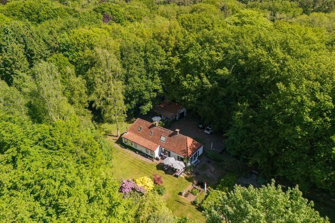 Foto 1 van Vredeslaan 1