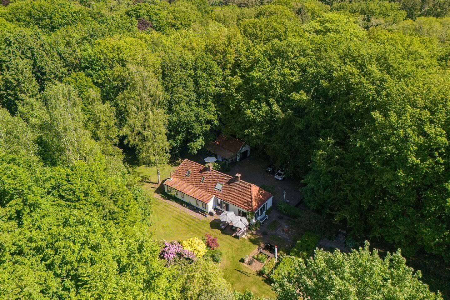 Foto 1 van Vredeslaan 1