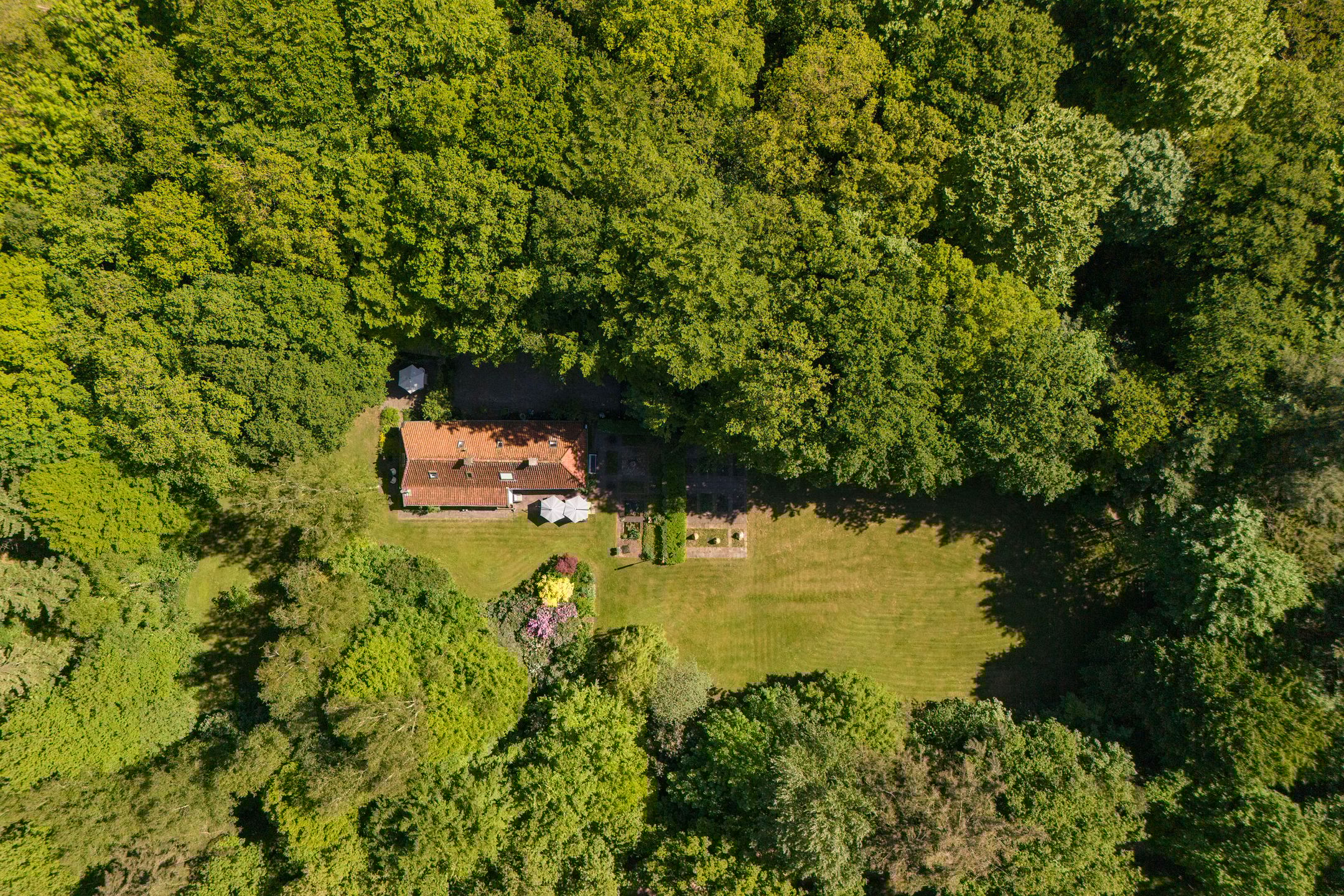 Foto 3 van Vredeslaan 1