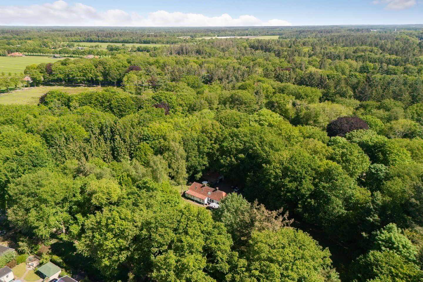 Foto 4 van Vredeslaan 1