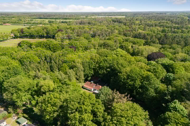 Foto 4 van Vredeslaan 1