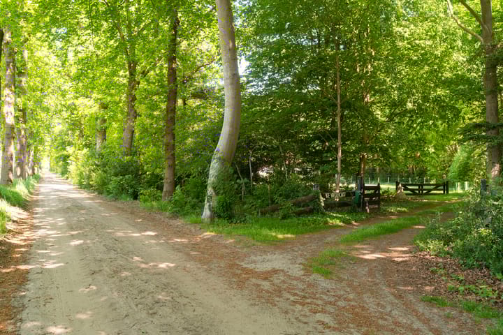 Foto 5 van Vredeslaan 1