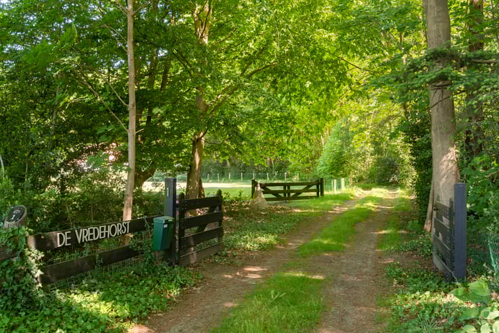 Foto 6 van Vredeslaan 1