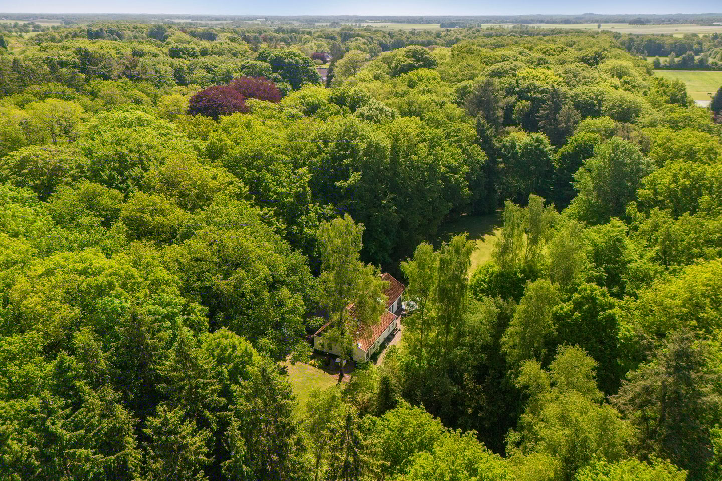 Foto 34 van Vredeslaan 1