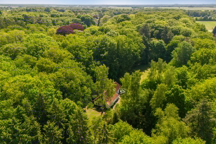 Foto 34 van Vredeslaan 1