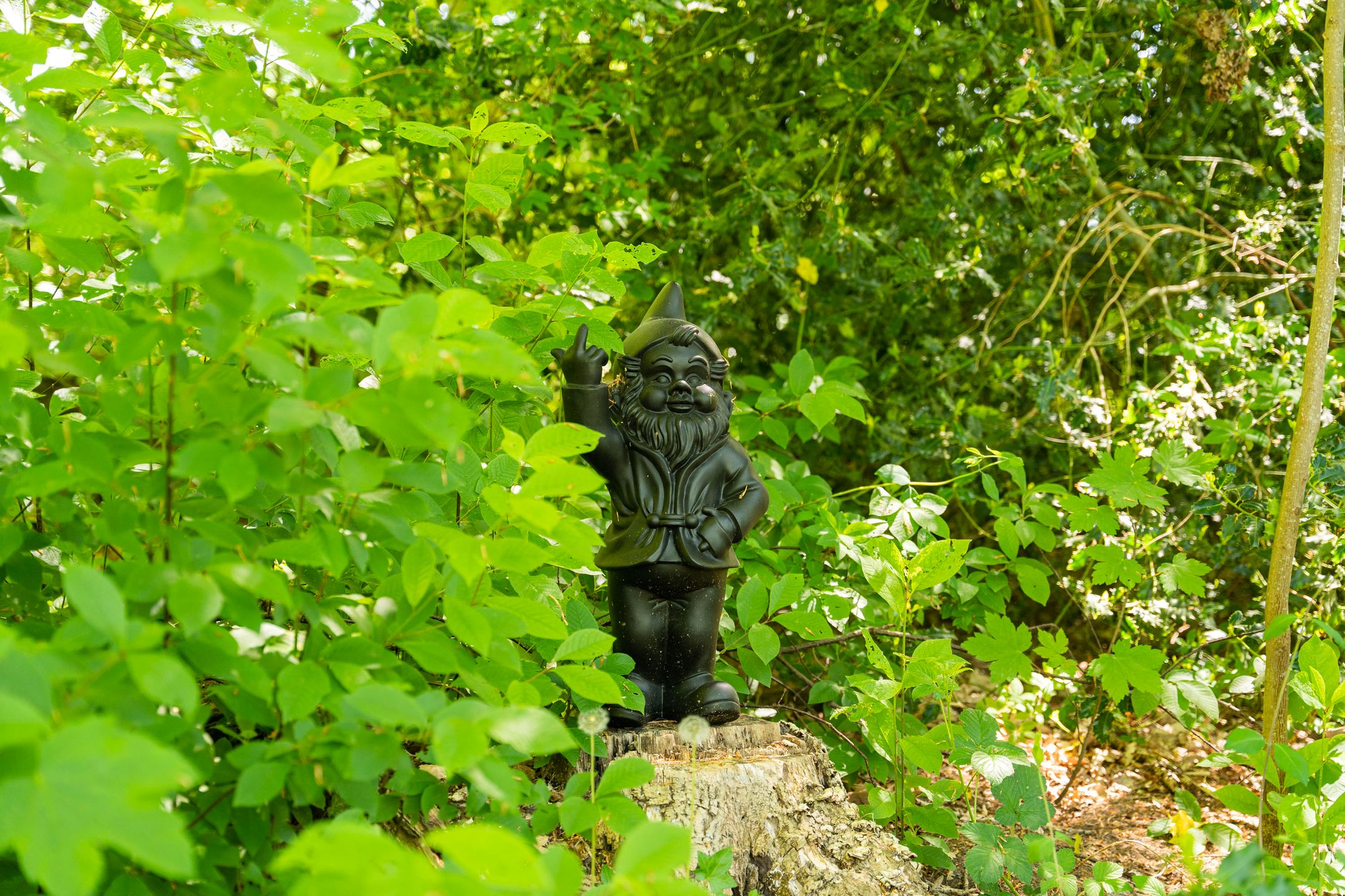 Foto 42 van Vredeslaan 1