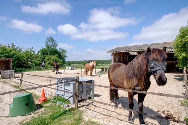 Foto 32 van Bolmeer 8