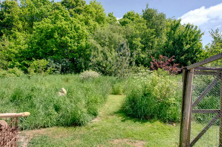 Foto 39 van Bolmeer 8