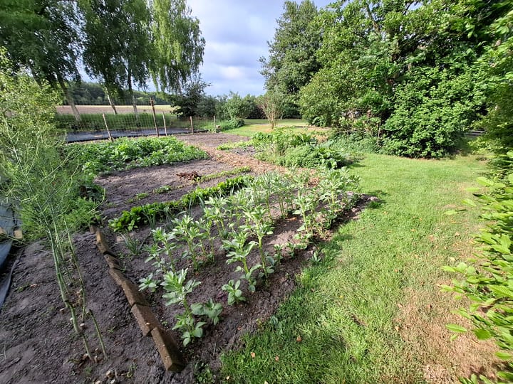 Foto 42 van Bolmeer 8