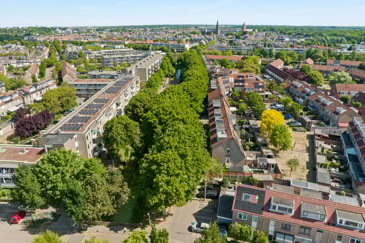 Photo 5 of Spoelhoren 45