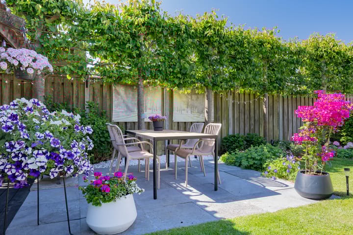 Foto 52 van Bernagietuin 12