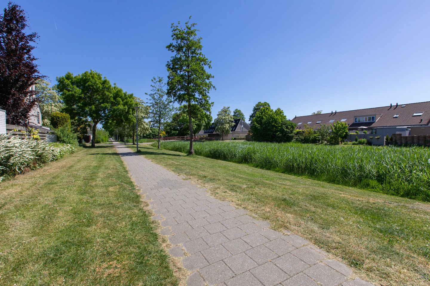 Foto 65 van Voornestraat 21