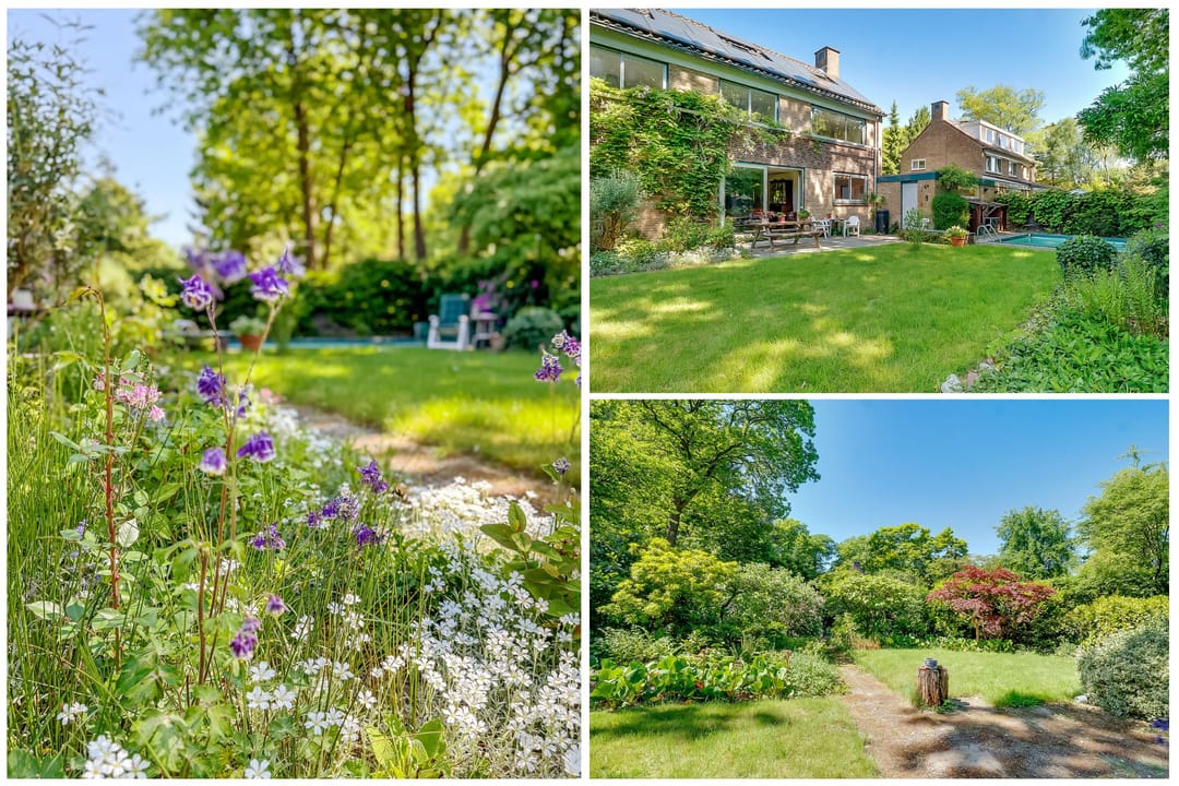 Foto 46 van Zandbergenlaan 18