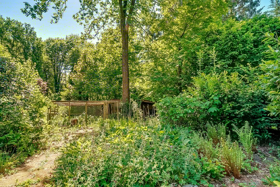 Foto 47 van Zandbergenlaan 18