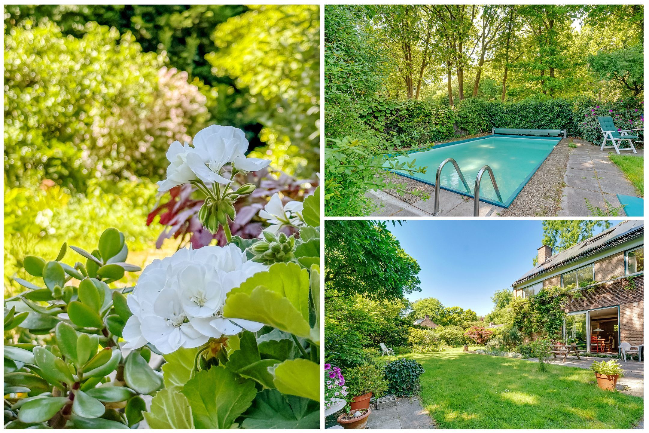 Foto 51 van Zandbergenlaan 18