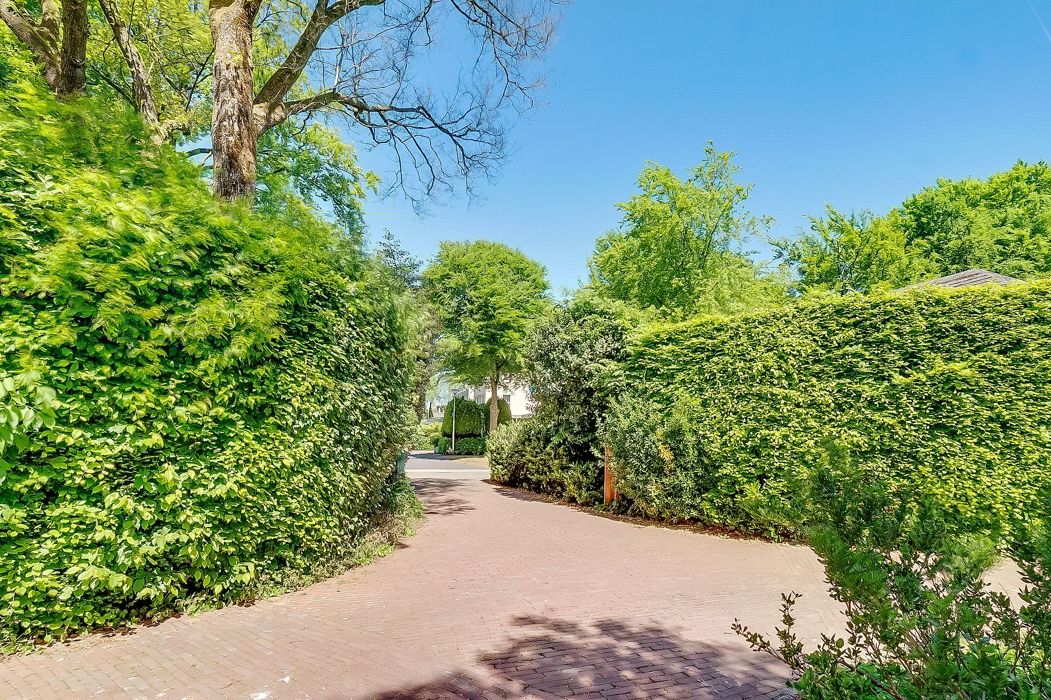 Foto 54 van Zandbergenlaan 18