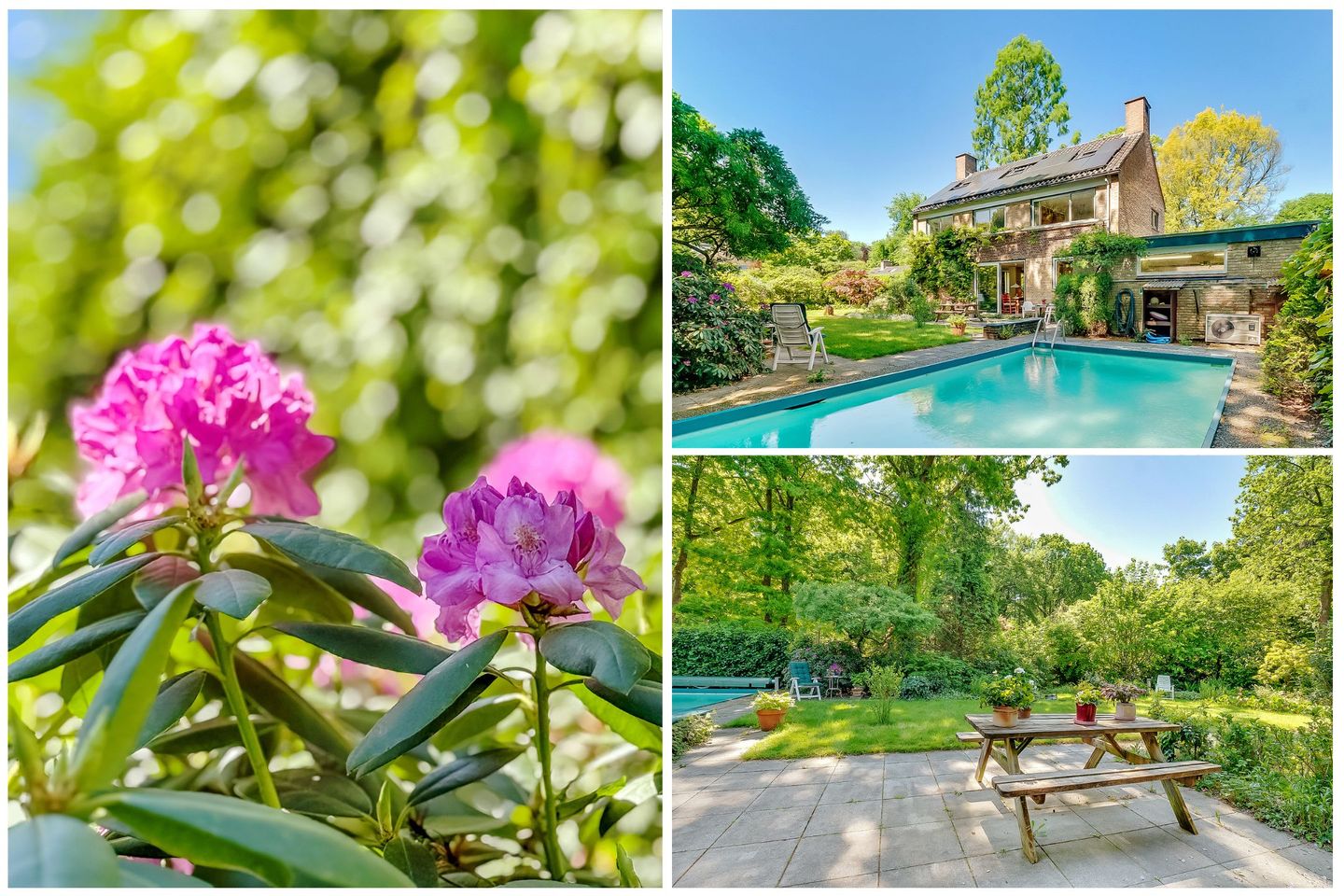 Foto 59 van Zandbergenlaan 18