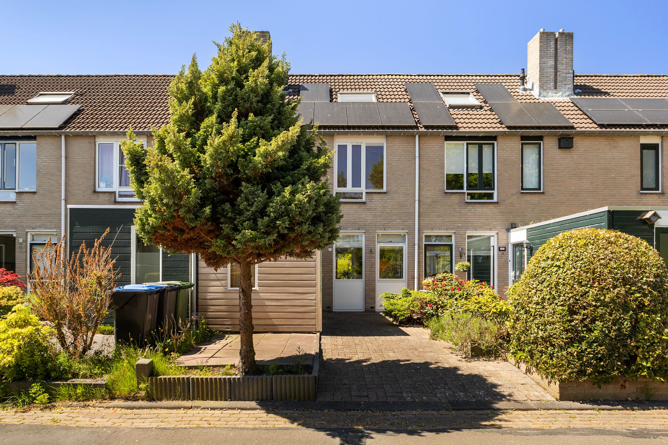 Foto 3 van Scheltemastate 48