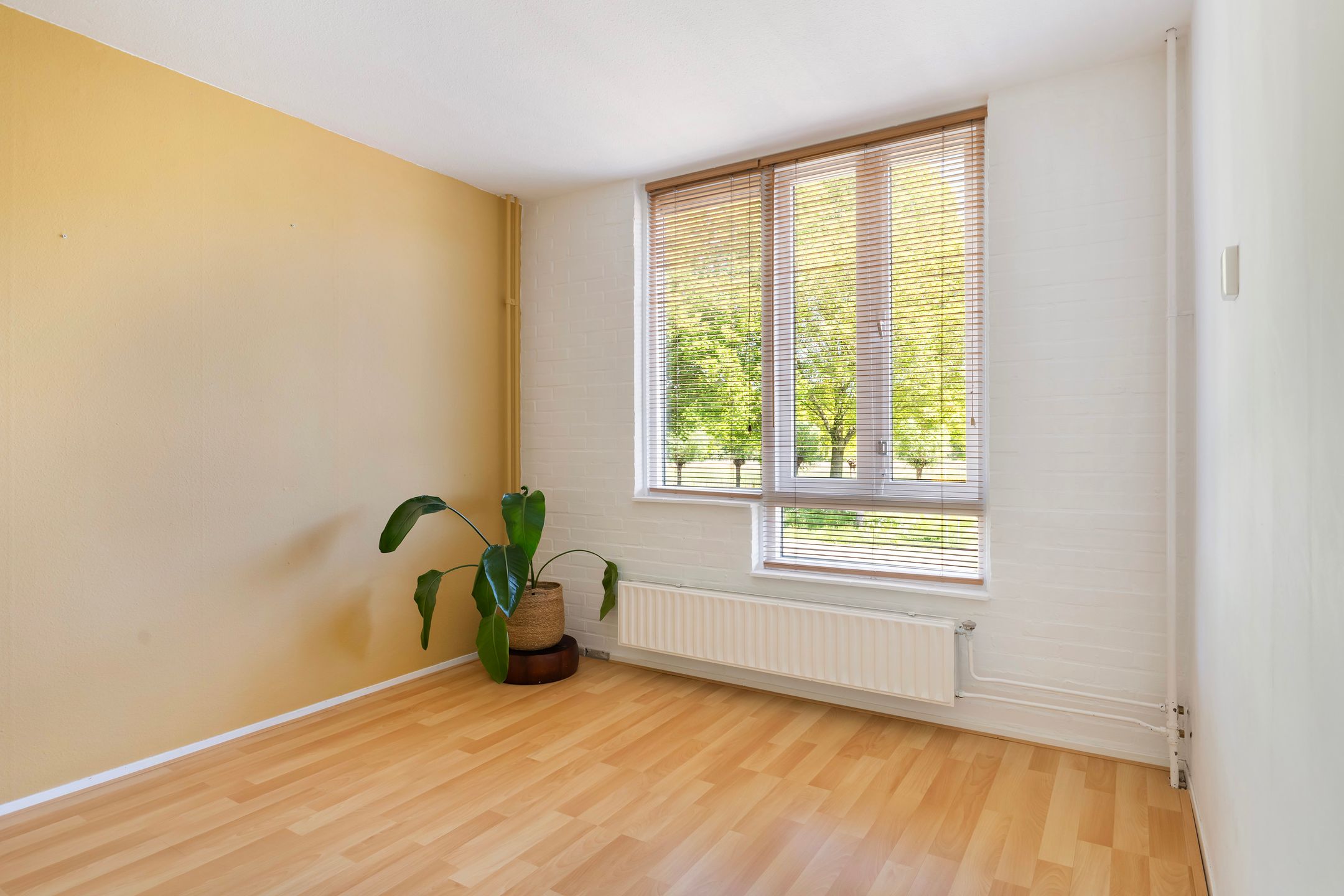 Foto 33 van Scheltemastate 48