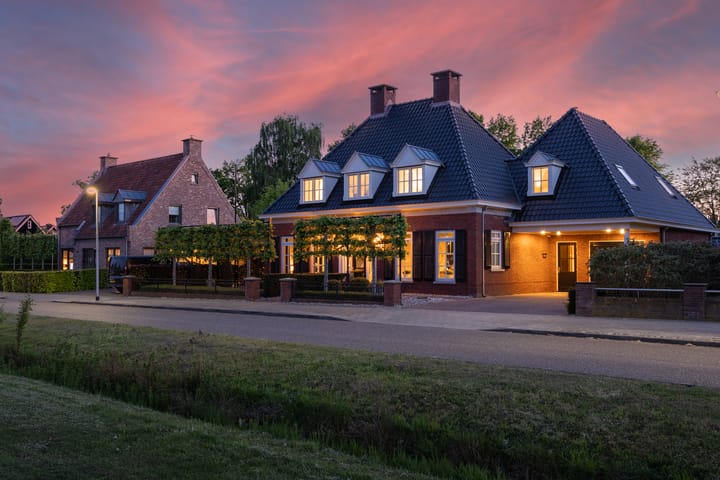 Foto 2 van Veldleeuwerik 3