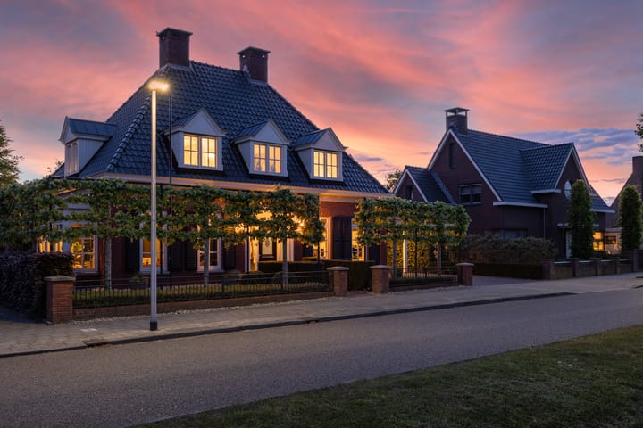 Foto 3 van Veldleeuwerik 3