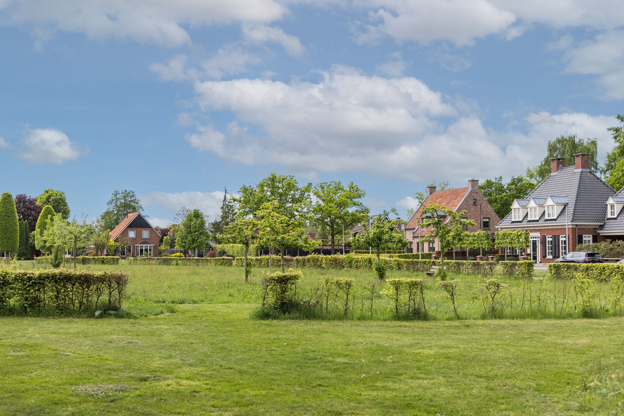 Foto 6 van Veldleeuwerik 3