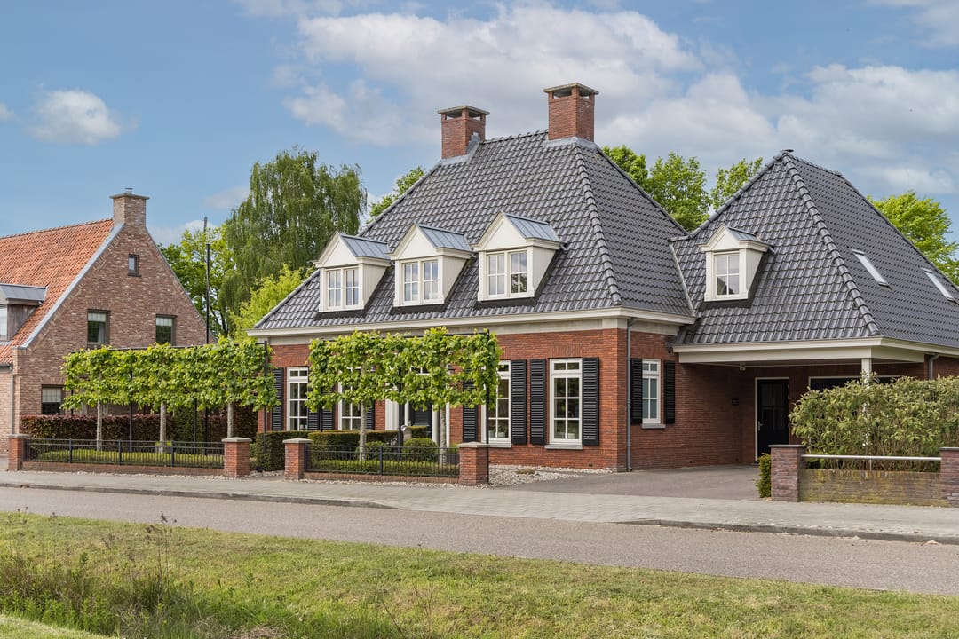 Foto 7 van Veldleeuwerik 3