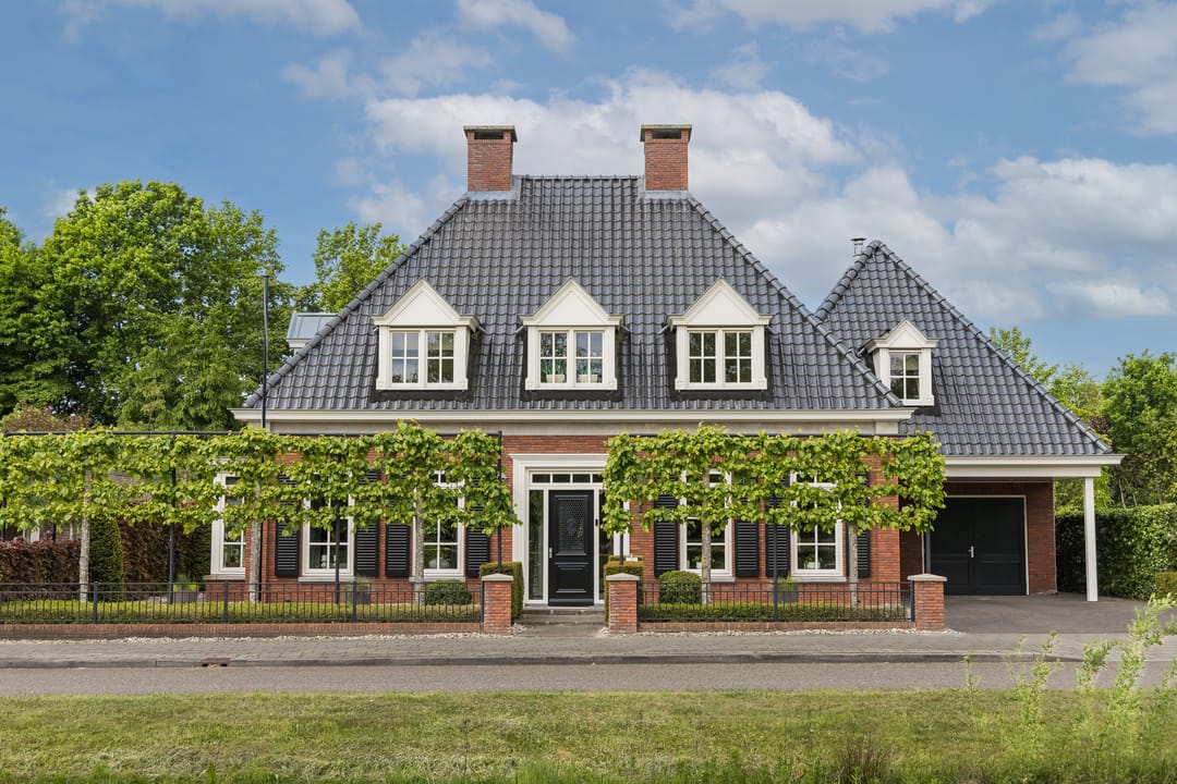 Foto 8 van Veldleeuwerik 3