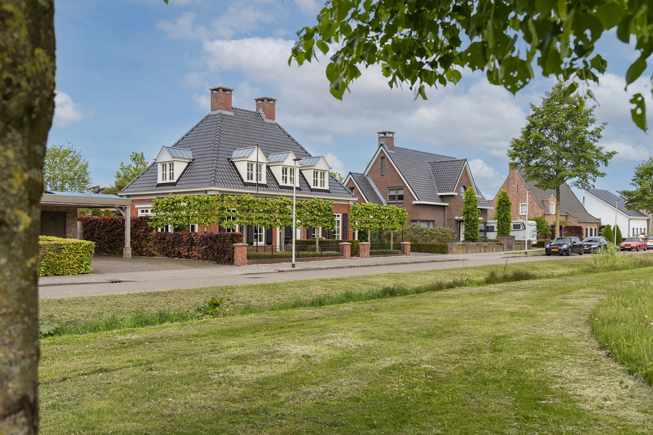 Foto 9 van Veldleeuwerik 3