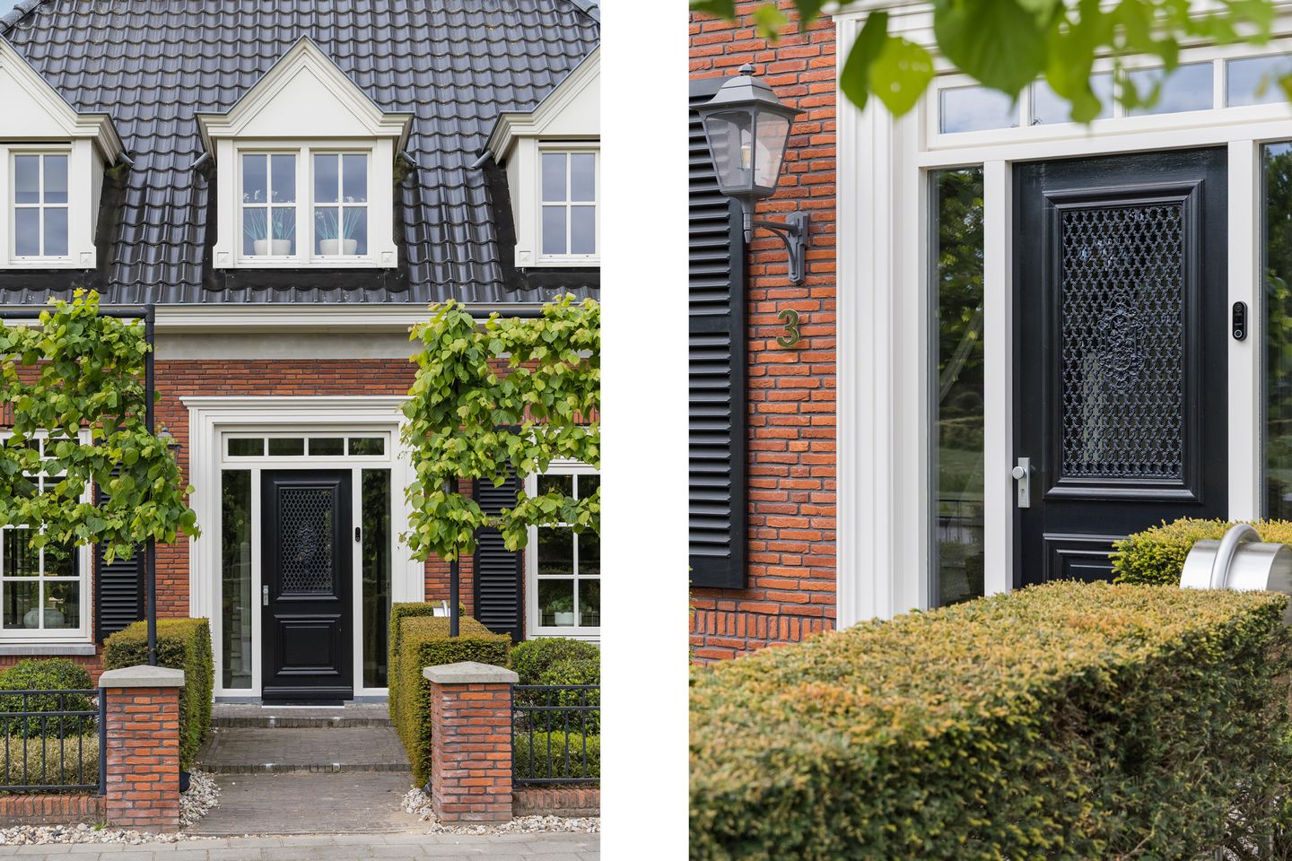 Foto 10 van Veldleeuwerik 3