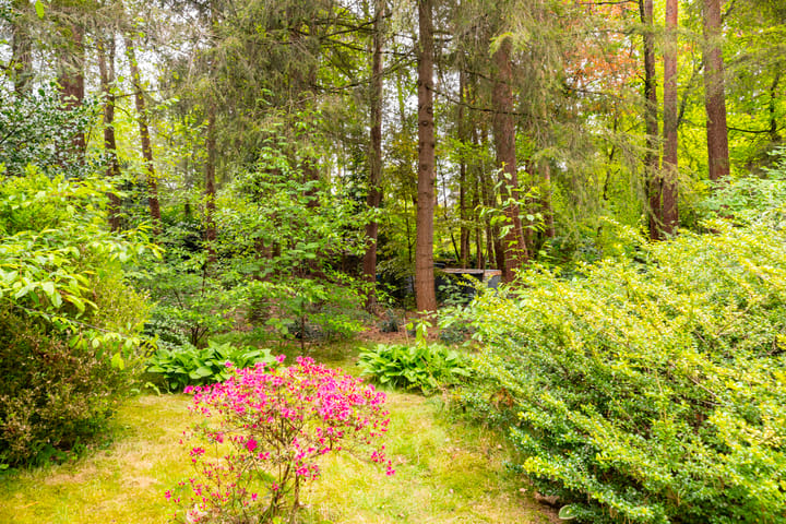 Foto 27 van Koningin Emmalaan 3