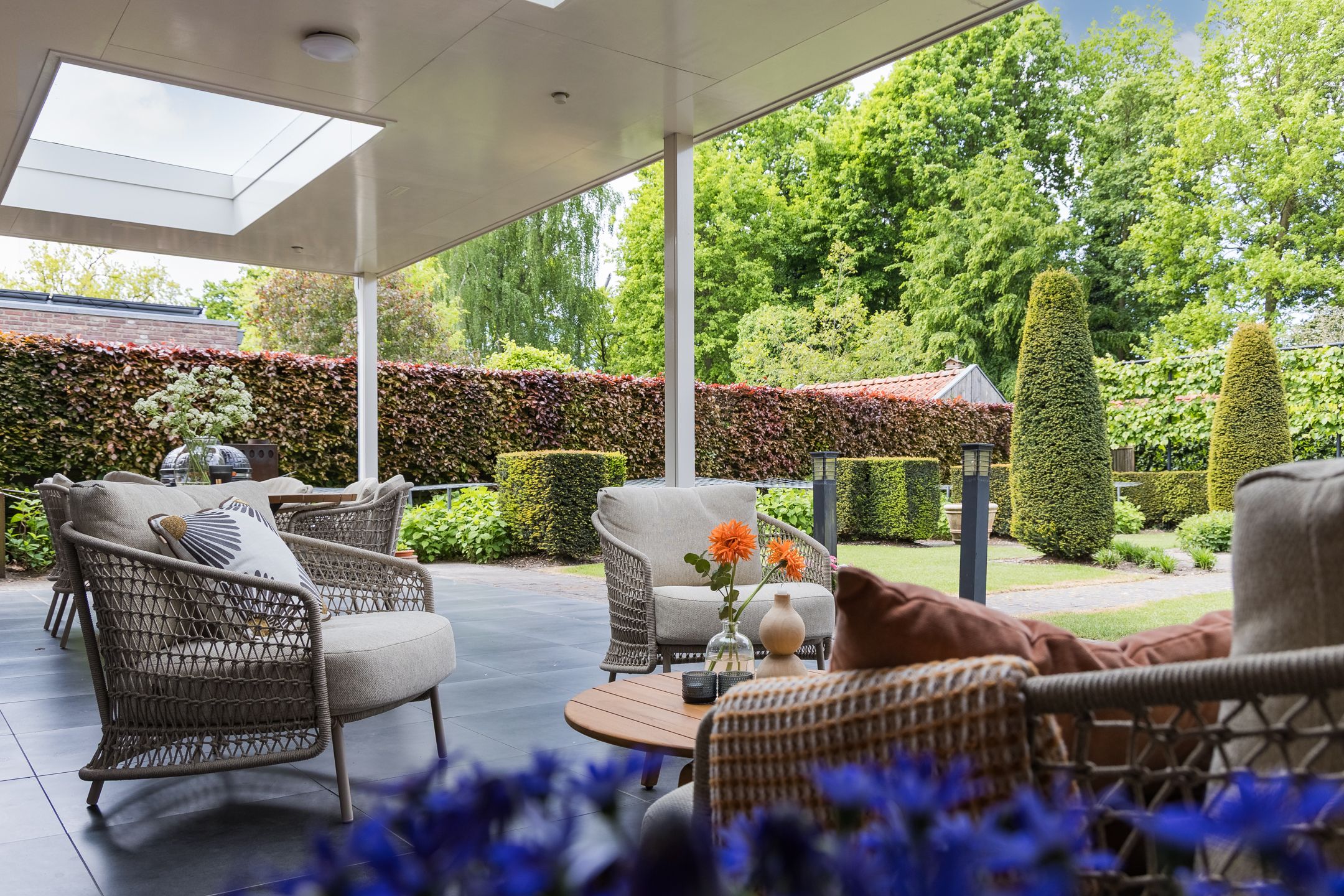 Foto 51 van Veldleeuwerik 3