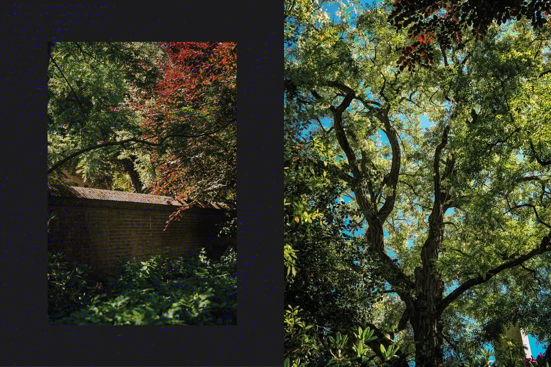 Foto 41 van Meliestraat 42