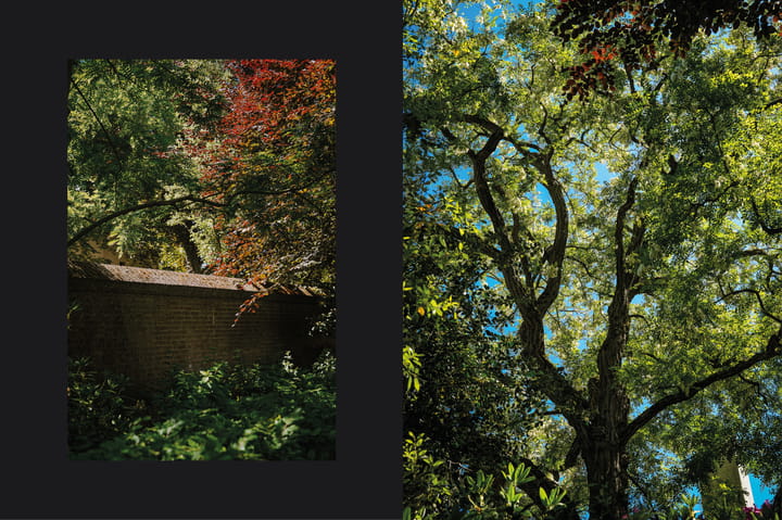 Foto 41 van Meliestraat 42