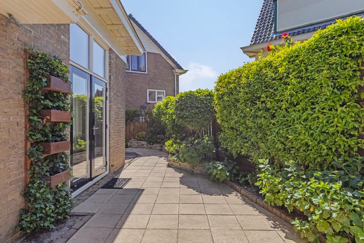 Foto 16 van Galerij 1