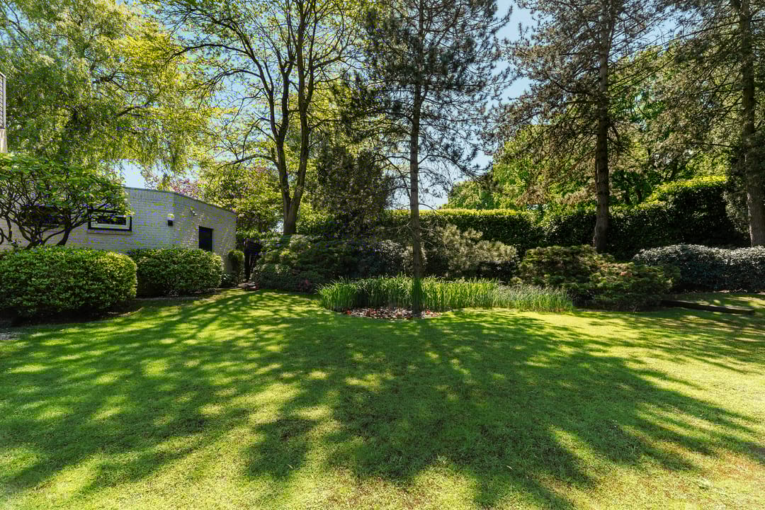 Foto 56 van Romeinenstraat 1