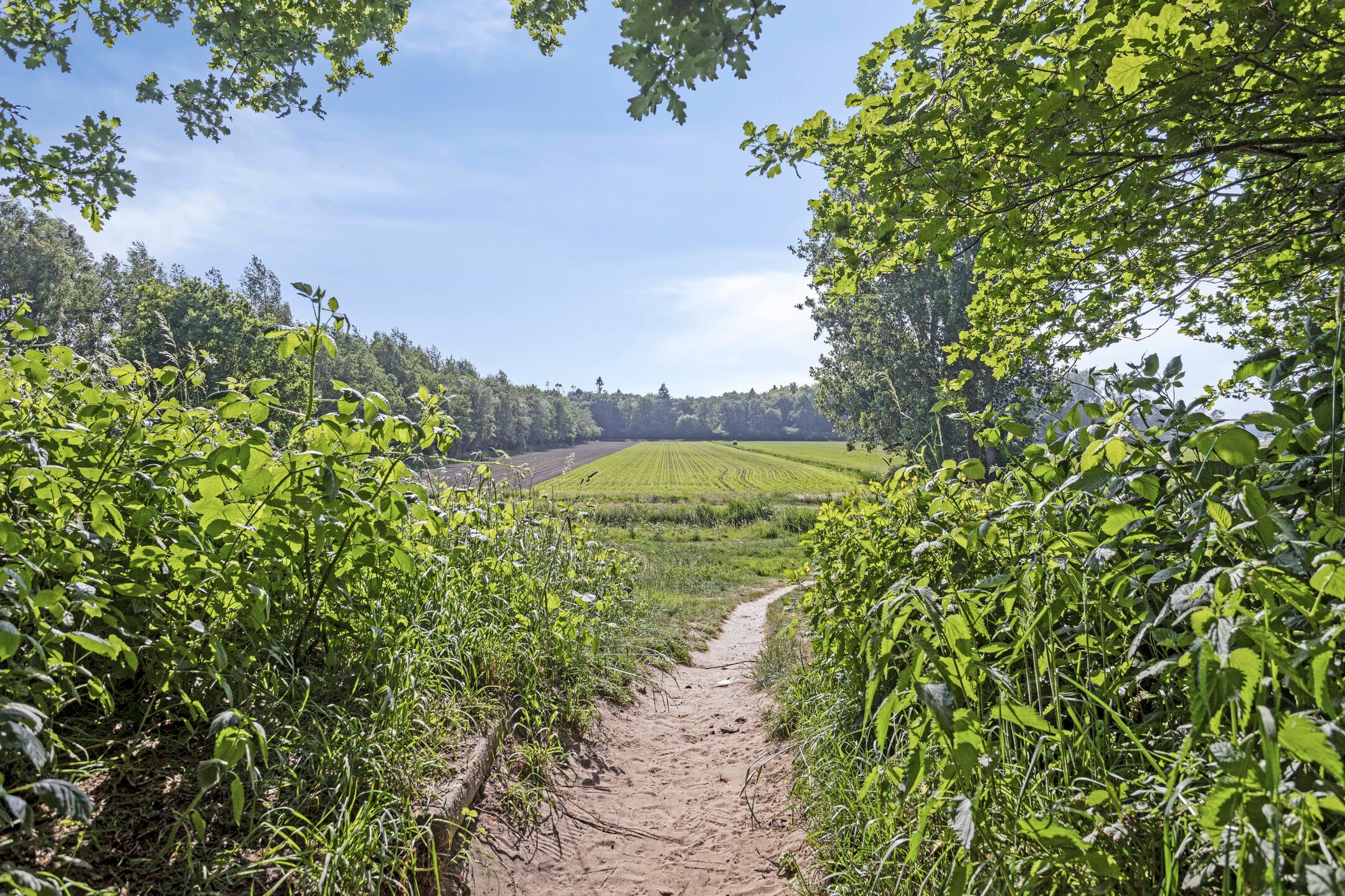 Foto 36 van Nijlring 23