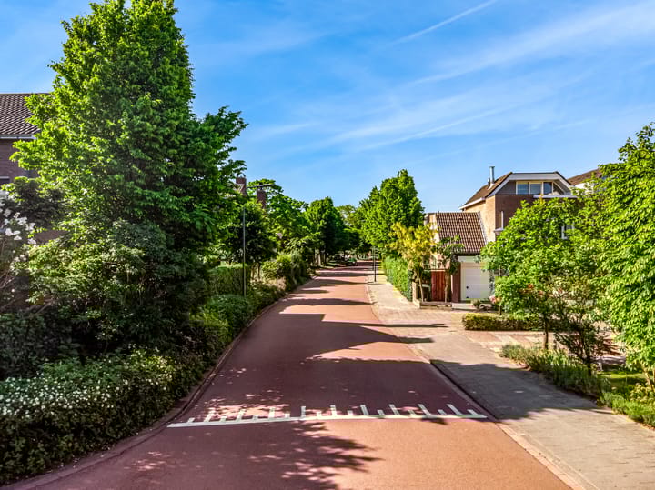 Foto 50 van Laan der Verenigde Naties 110