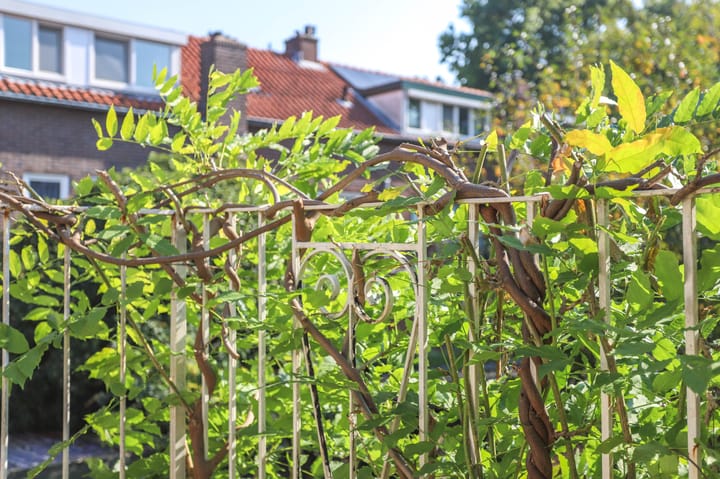 Foto 28 van Barkasstraat 2