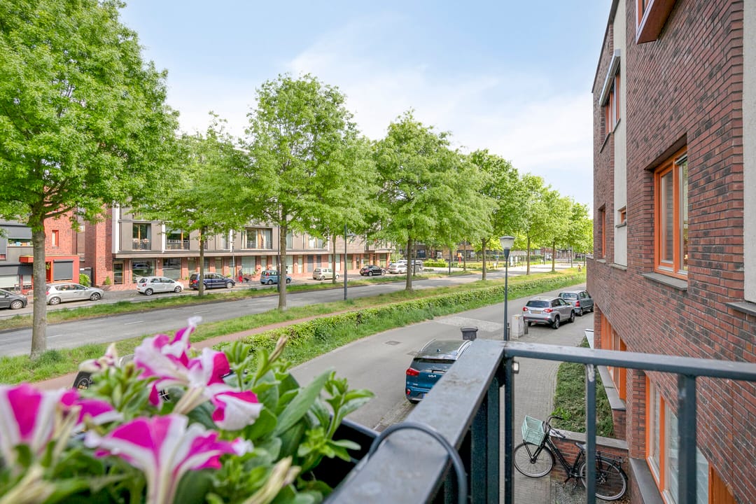 Photo 31 of Grasvogel 33