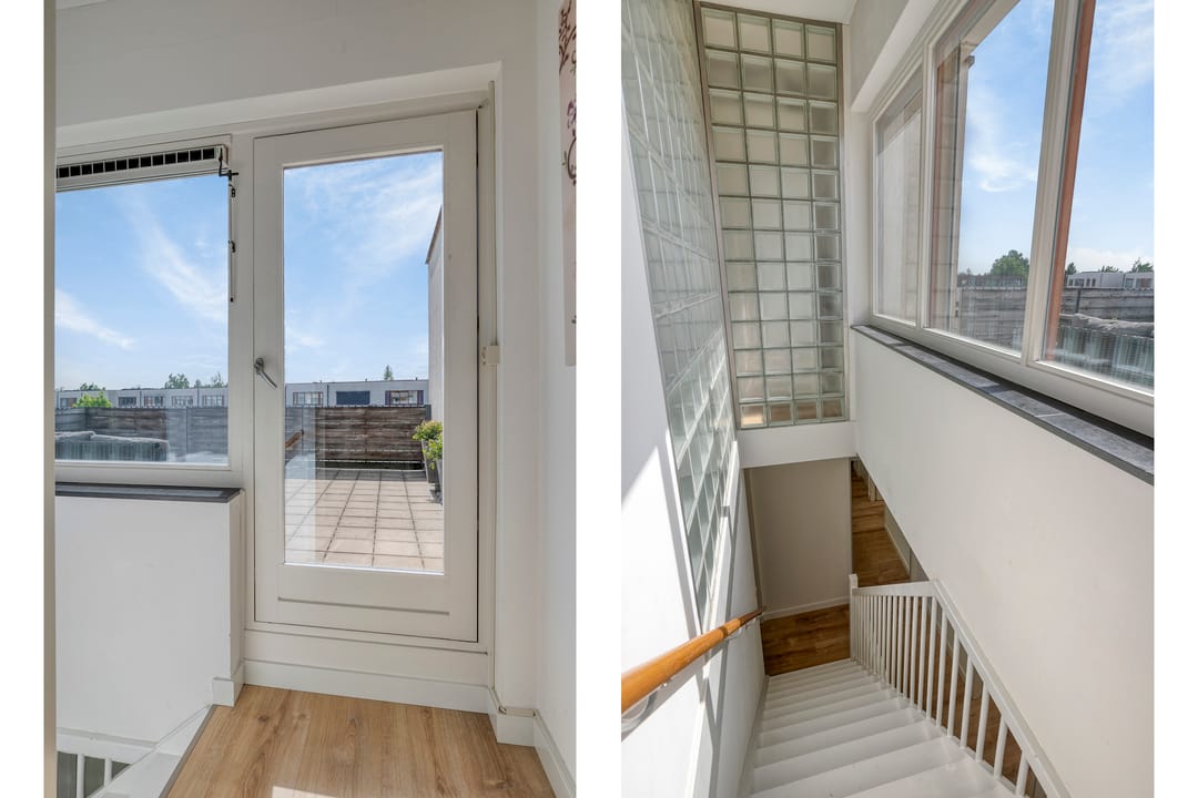 Photo 32 of Grasvogel 33