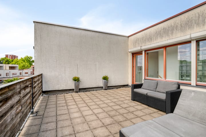 Foto 37 van Grasvogel 33