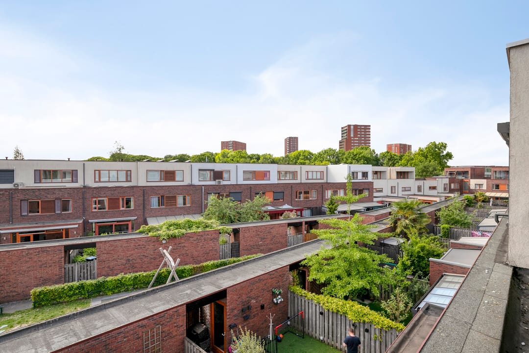 Photo 38 of Grasvogel 33