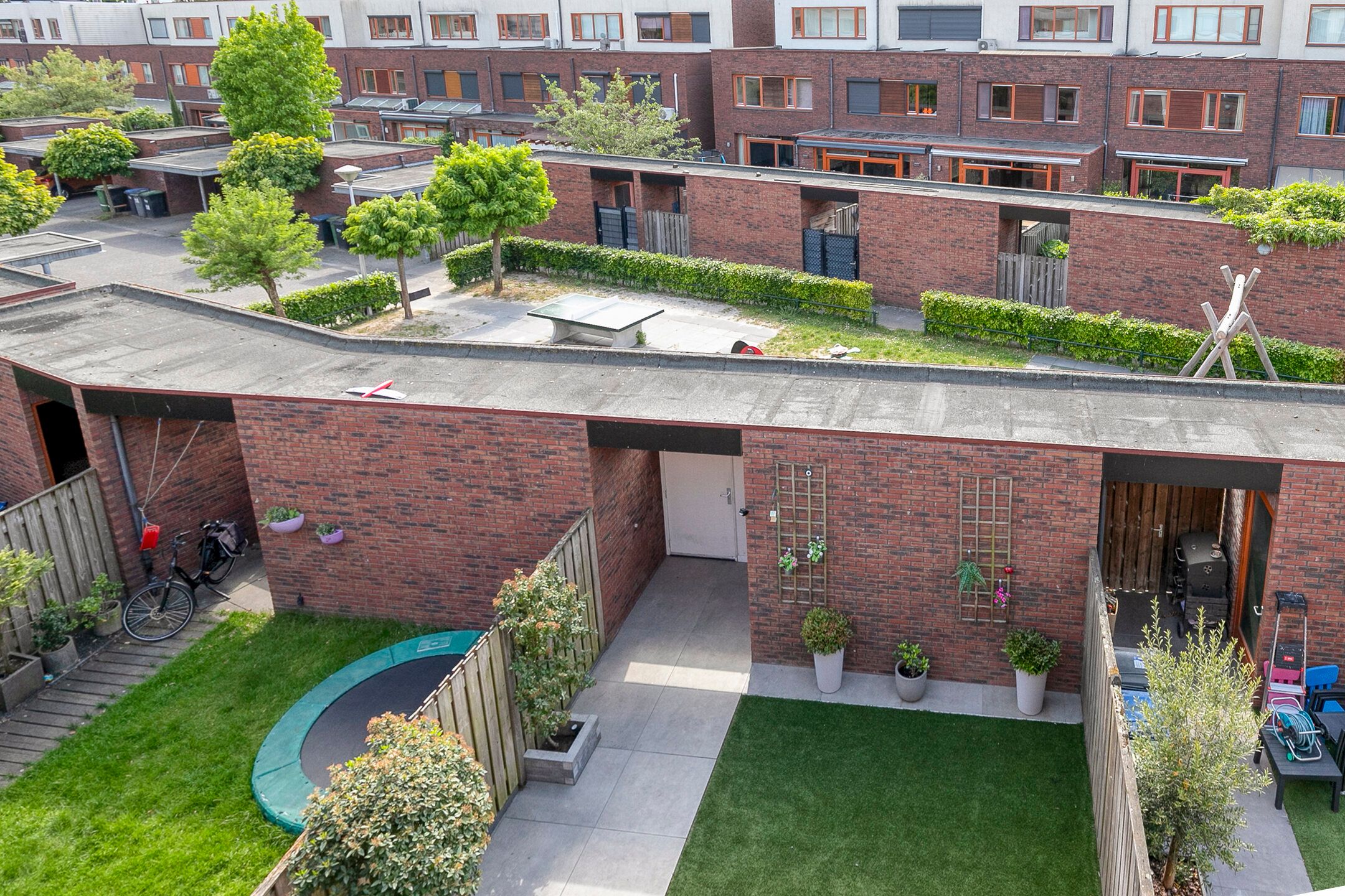 Photo 39 of Grasvogel 33