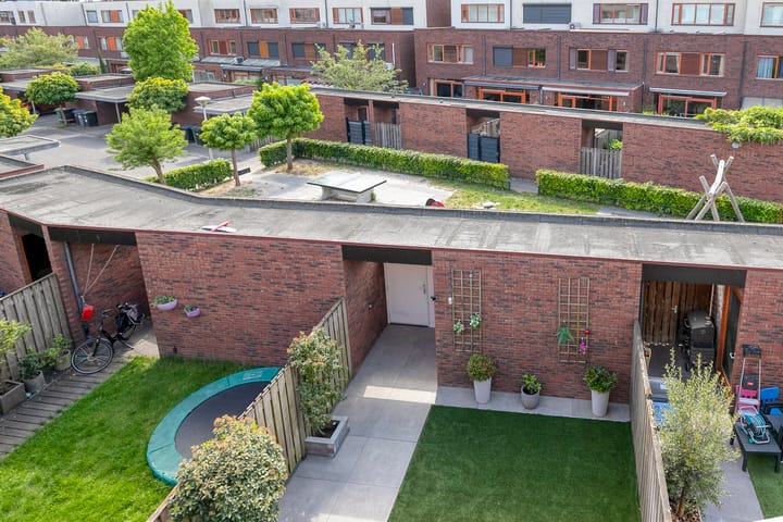 Foto 39 van Grasvogel 33