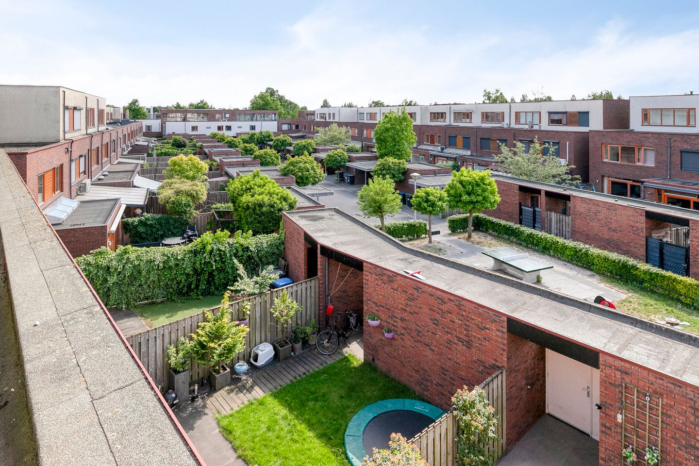 Photo 40 of Grasvogel 33