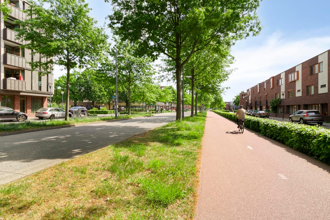 Photo 47 of Grasvogel 33