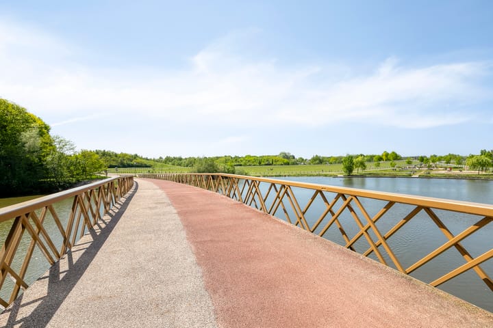 Foto 49 van Grasvogel 33