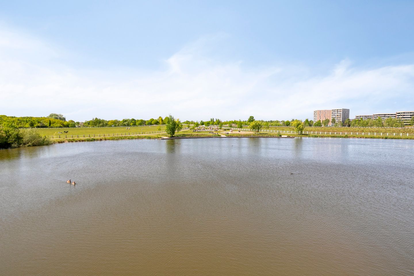 Photo 50 of Grasvogel 33